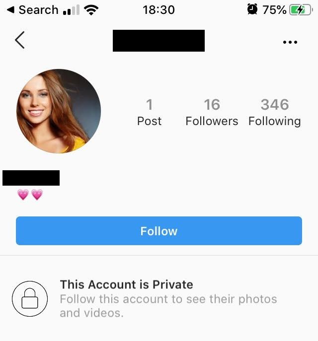 A typical fake Instagram profile with high Following count as compared to Followers count and a single post, with the image of a celebrity.
